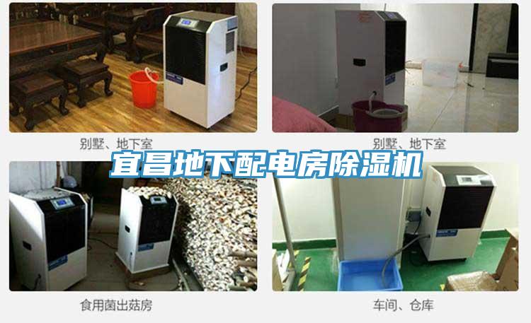 宜昌地下配電房91看片软件大全
