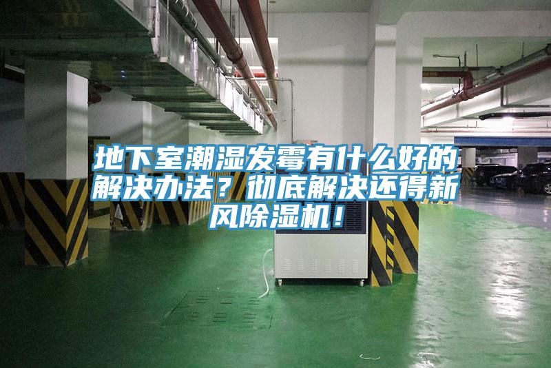 地下室潮濕發黴有什麽好的解決辦法？徹底解決還得新風91看片软件大全！