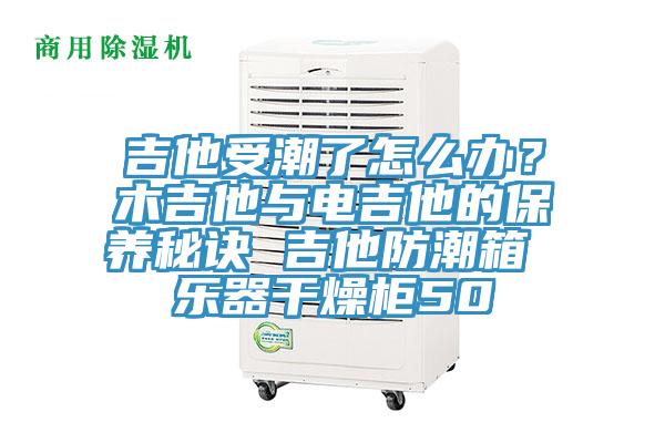 吉他受潮了怎麽辦？木吉他與電吉他的保養秘訣 吉他防潮箱 樂器幹燥櫃50