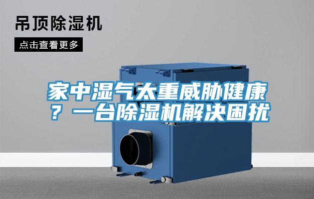 家中濕氣太重威脅健康？一台91看片软件大全解決困擾