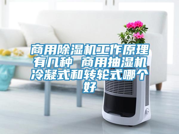 商用91看片软件大全工作原理有幾種 商用抽濕機冷凝式和轉輪式哪個好
