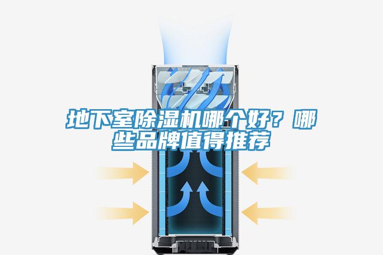 地下室91看片软件大全哪個好？哪些品牌值得推薦