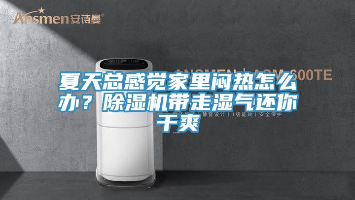 夏天總感覺家裏悶熱怎麽辦？91看片软件大全帶走濕氣還你幹爽