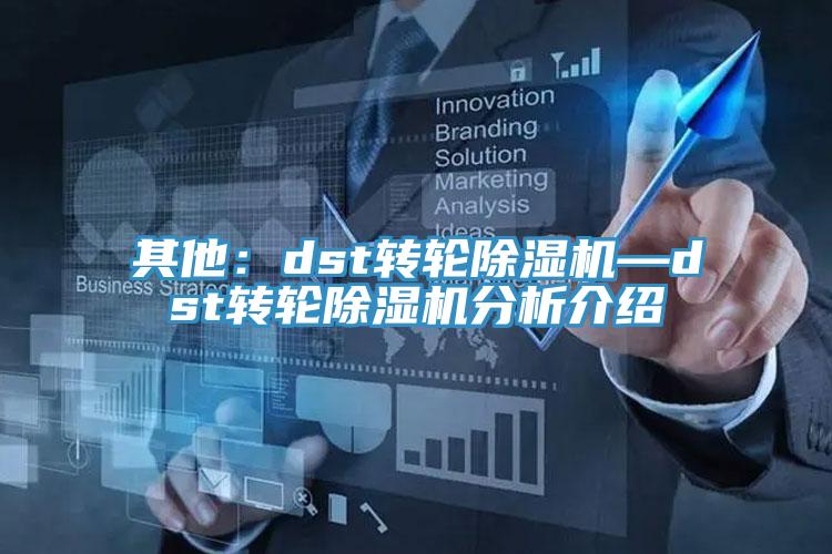 其他：dst轉輪91看片软件大全—dst轉輪91看片软件大全分析介紹