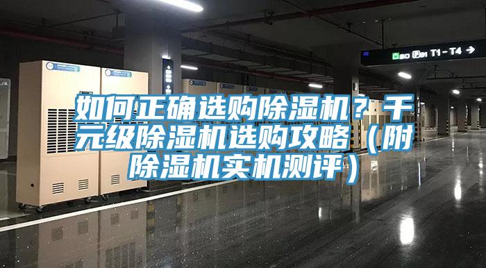 如何正確選購91看片软件大全？千元級91看片软件大全選購攻略（附91看片软件大全實機測評）