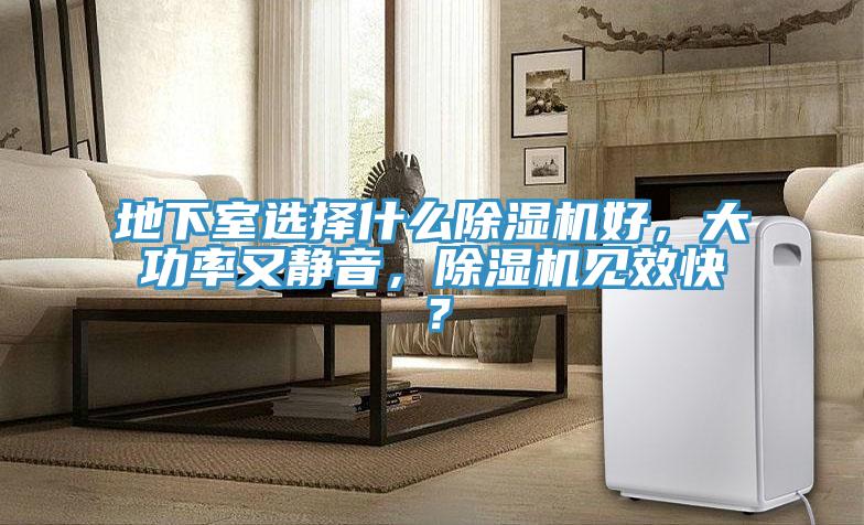 地下室選擇什麽91看片软件大全好，大功率又靜音，91看片软件大全見效快？