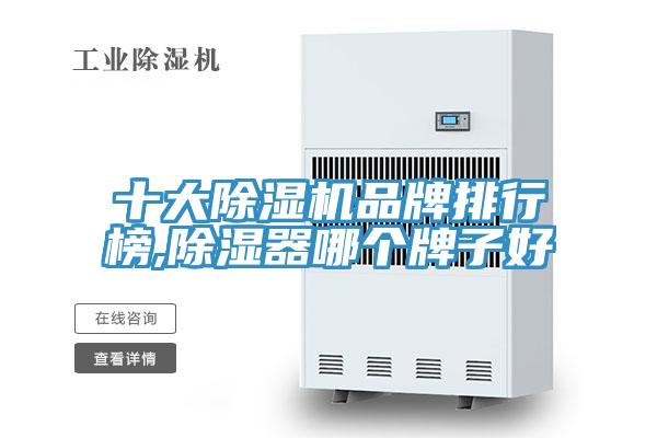 十大91看片软件大全品牌排行榜,除濕器哪個牌子好