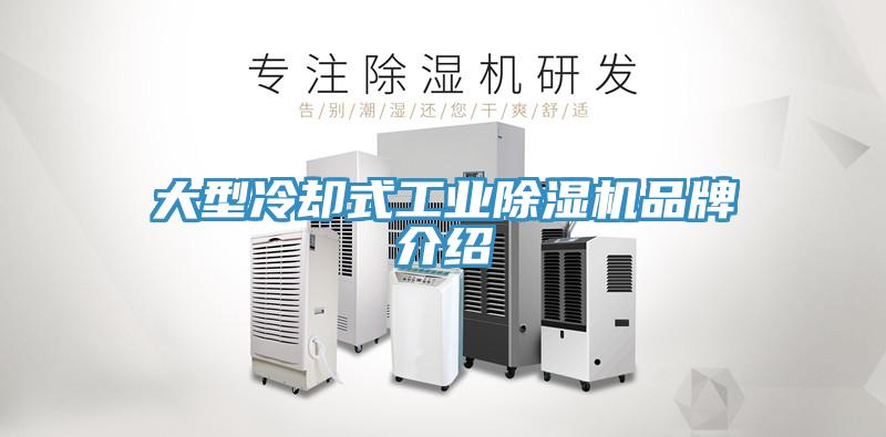 大型冷卻式工業91看片软件大全品牌介紹