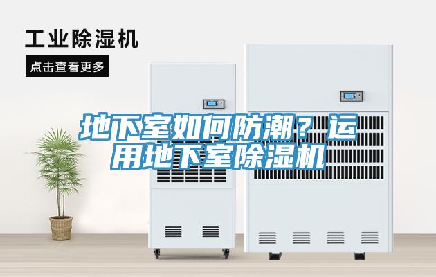 地下室如何防潮？運用地下室91看片软件大全