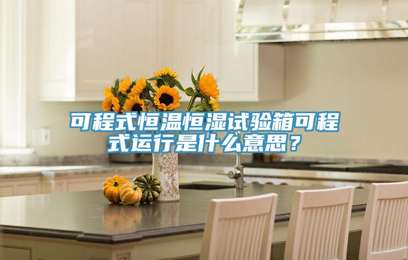 可程式恒溫恒濕試驗箱可程式運行是什麽意思？