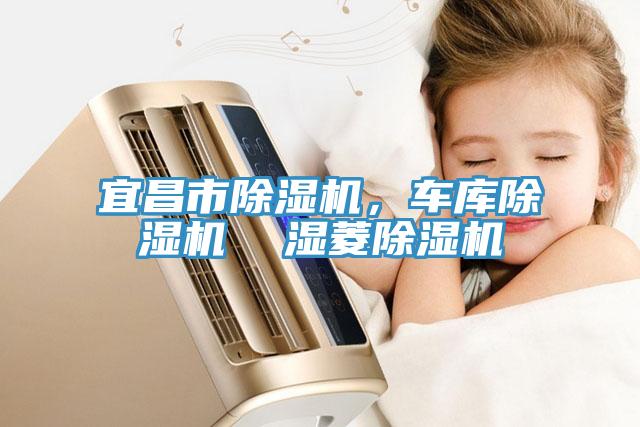 宜昌市91看片软件大全，車庫91看片软件大全  濕菱91看片软件大全