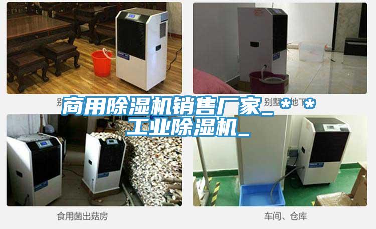 商用91看片软件大全銷售廠家_＊＊工業91看片软件大全_