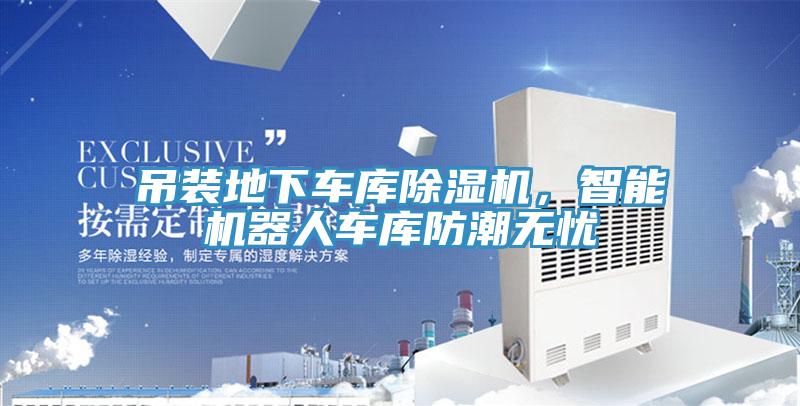 吊裝地下車庫91看片软件大全，智能機器人車庫防潮無憂