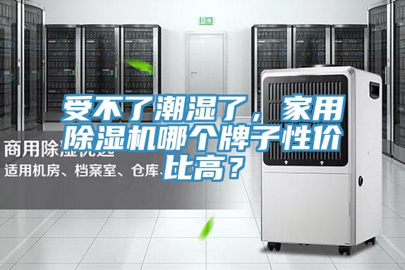 受不了潮濕了，家用91看片软件大全哪個牌子性價比高？