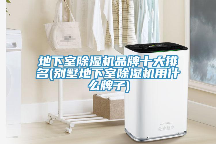 地下室91看片软件大全品牌十大排名(別墅地下室91看片软件大全用什麽牌子)