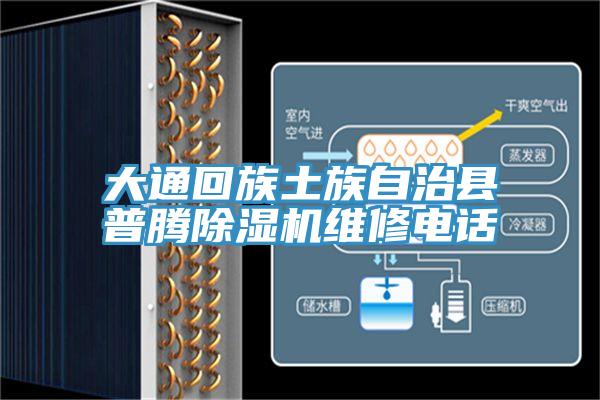 大通回族土族自治縣普騰91看片软件大全維修電話