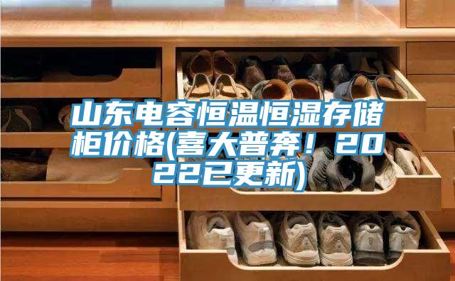 山東電容恒溫恒濕存儲櫃價格(喜大普奔！2022已更新)