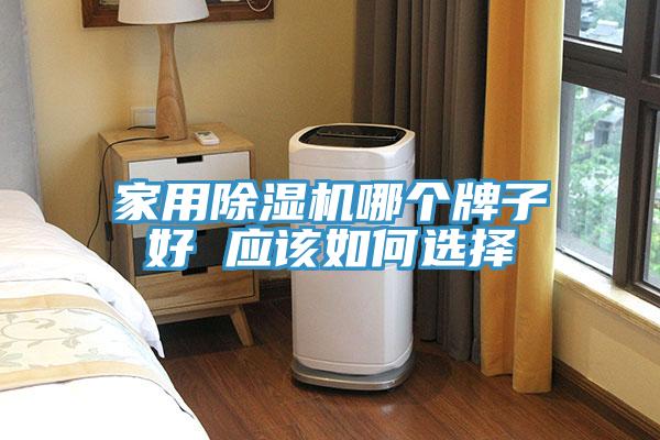 家用91看片软件大全哪個牌子好 應該如何選擇