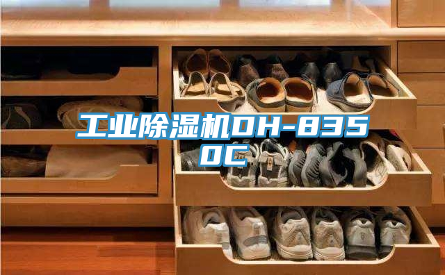 工業91看片软件大全DH-8350C