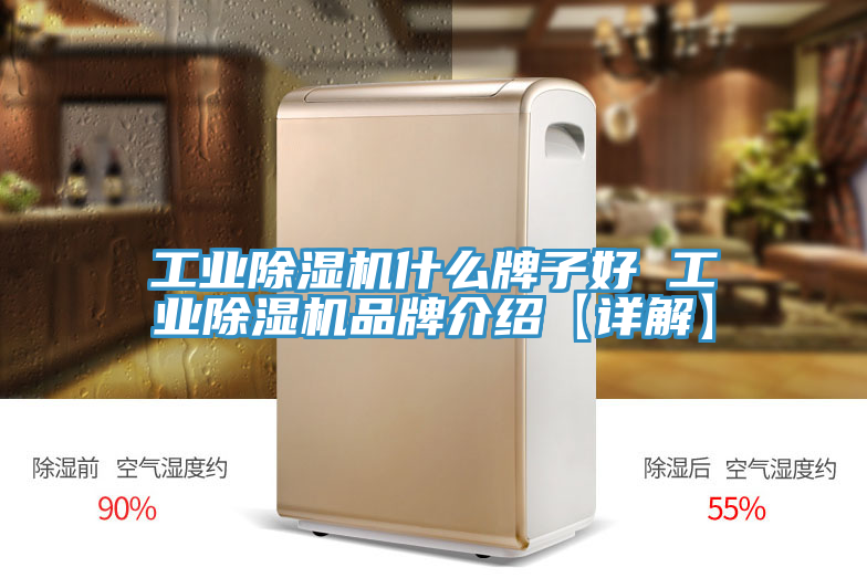 工業91看片软件大全什麽牌子好 工業91看片软件大全品牌介紹【詳解】