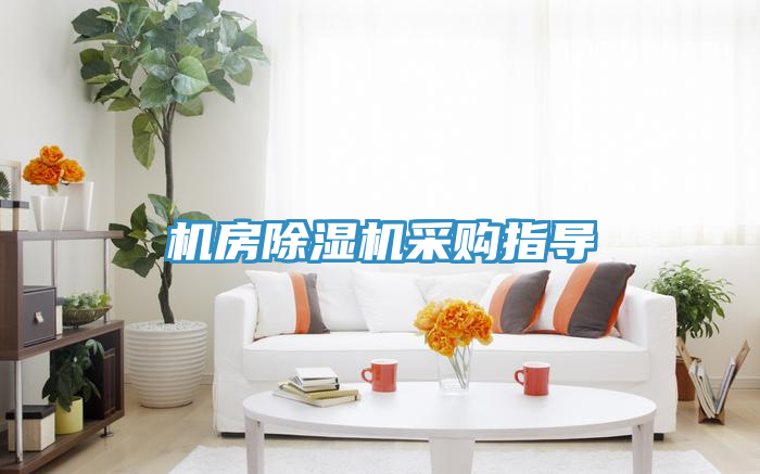 機房91看片软件大全采購指導