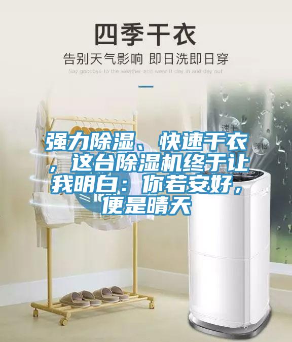 強力除濕、快速幹衣，這台91看片软件大全終於讓我明白：你若安好，便是晴天
