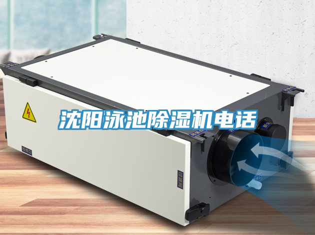 沈陽泳池91看片软件大全電話