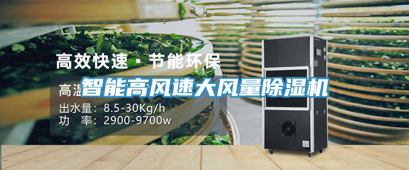 智能高風速大風量91看片软件大全