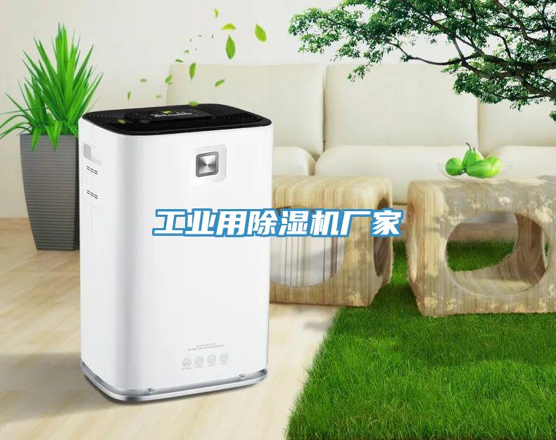 工業用91看片软件大全廠家
