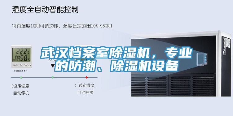 武漢檔案室91看片软件大全，專業的防潮、91看片软件大全設備