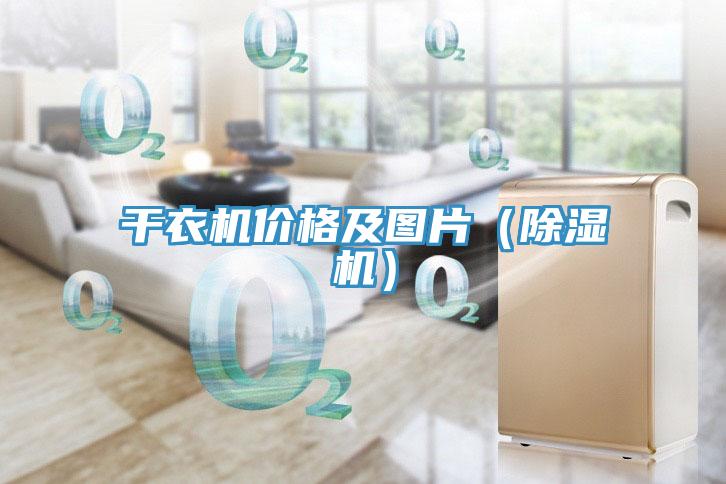 幹衣機價格及圖片（91看片软件大全）