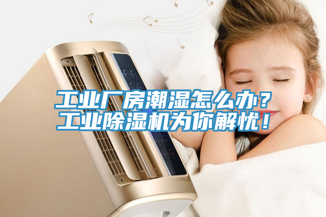 工業廠房潮濕怎麽辦？工業91看片软件大全為你解憂！