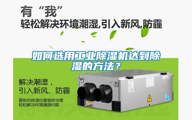 如何選用工業91看片软件大全達到除濕的方法？