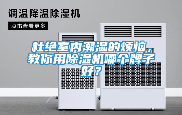 杜絕室內潮濕的煩惱，教你用91看片软件大全哪個牌子好？