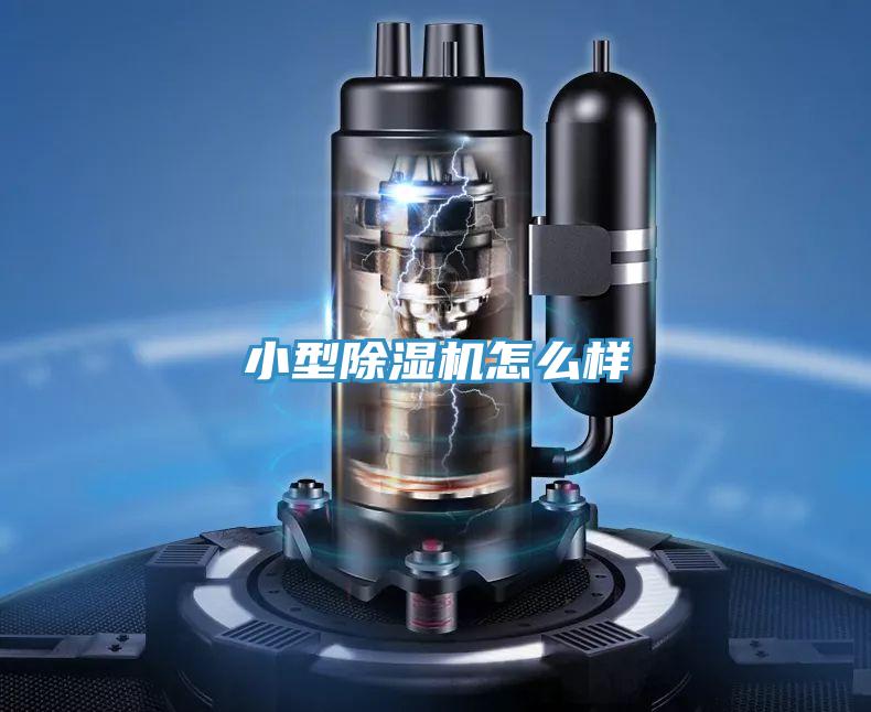 小型91看片软件大全怎麽樣