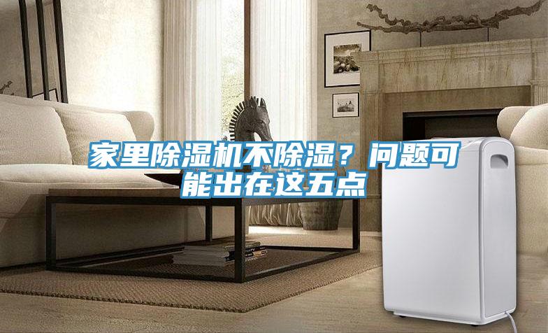 家裏91看片软件大全不除濕？問題可能出在這五點
