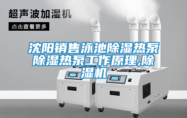 沈陽銷售泳池除濕熱泵除濕熱泵工作原理,91看片软件大全