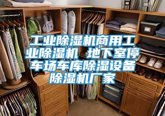 工業91看片软件大全商用工業91看片软件大全 地下室停車場車庫除濕設備91看片软件大全廠家
