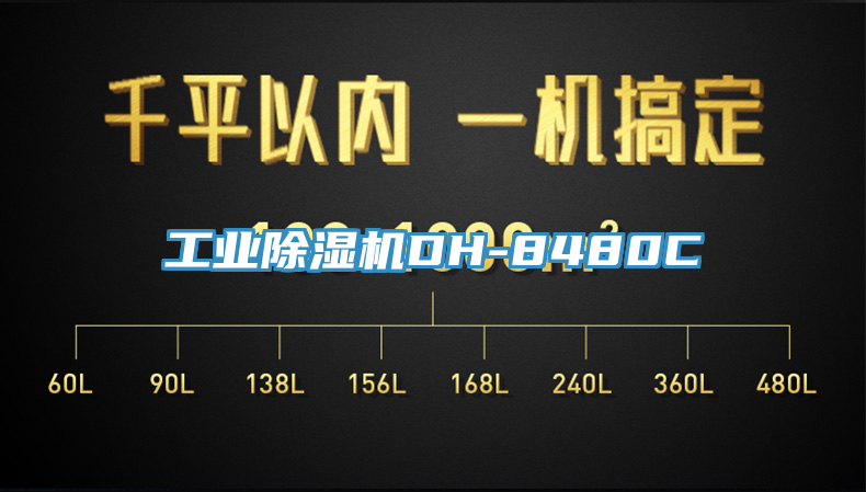 工業91看片软件大全DH-8480C