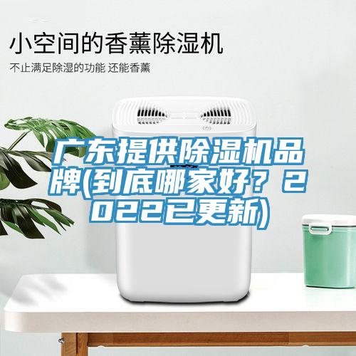 廣東提供91看片软件大全品牌(到底哪家好？2022已更新)