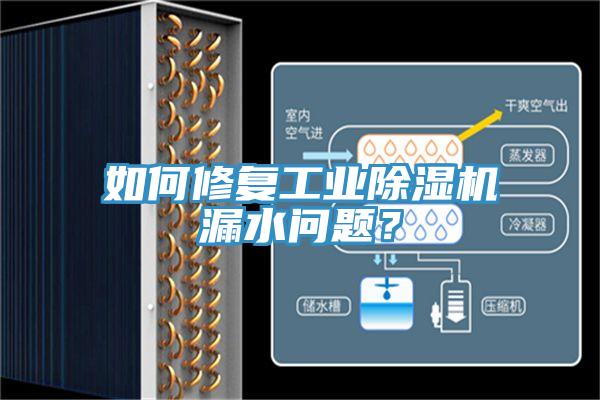 如何修複工業91看片软件大全漏水問題？
