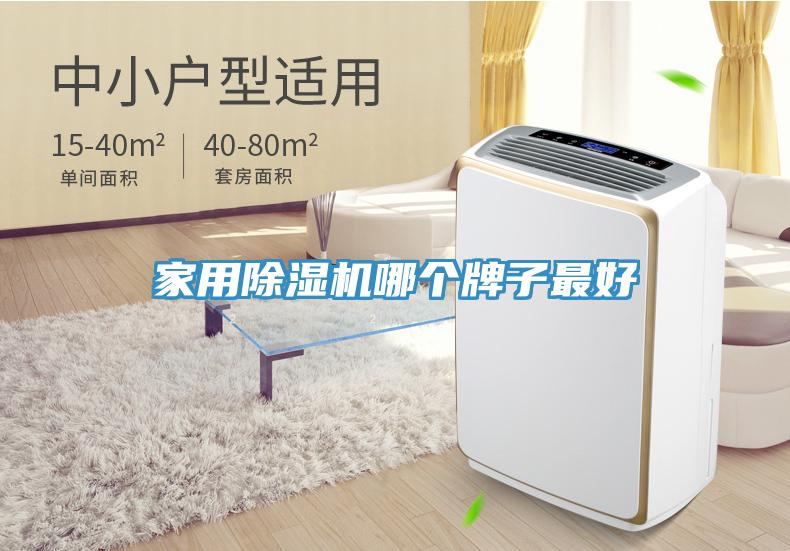 家用91看片软件大全哪個牌子最好