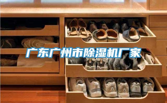廣東廣州市91看片软件大全廠家