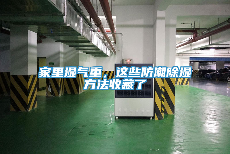 家裏濕氣重，這些防潮除濕方法收藏了