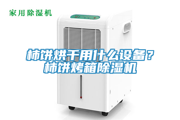 柿餅烘幹用什麽設備？柿餅烤箱91看片软件大全