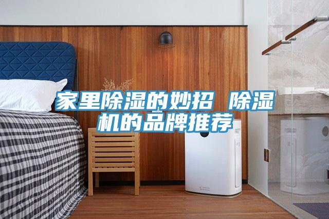 家裏除濕的妙招 91看片软件大全的品牌推薦