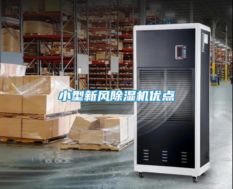 小型新風91看片软件大全優點
