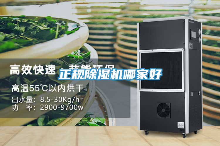 正規91看片软件大全哪家好