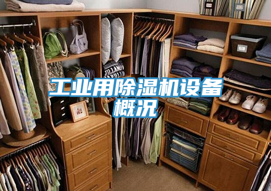 工業用91看片软件大全設備概況