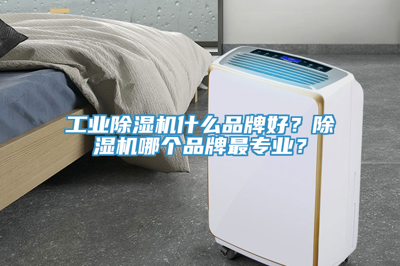 工業91看片软件大全什麽品牌好？91看片软件大全哪個品牌最專業？